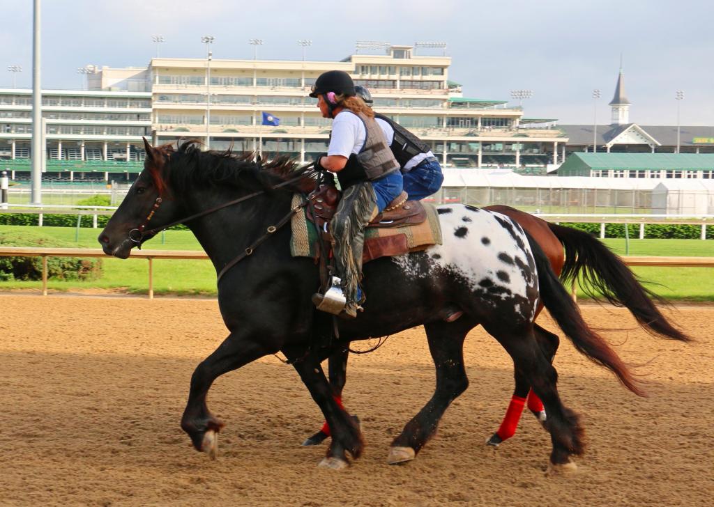 Looking majestic at Churchill Downs. (Julie June Stewart photo)